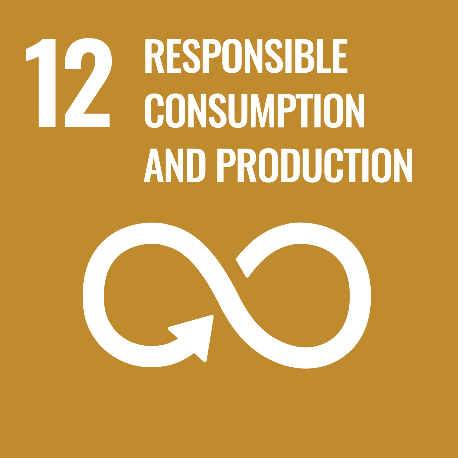 Objetivo de Desarrollo Sostenible 12: Producción y consumo responsables