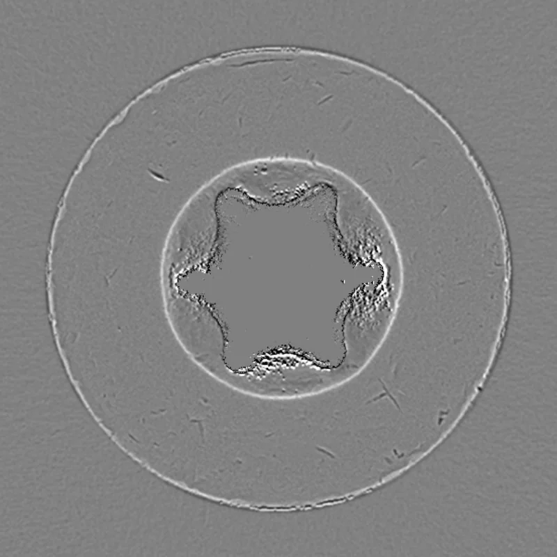 Daños – Relieve